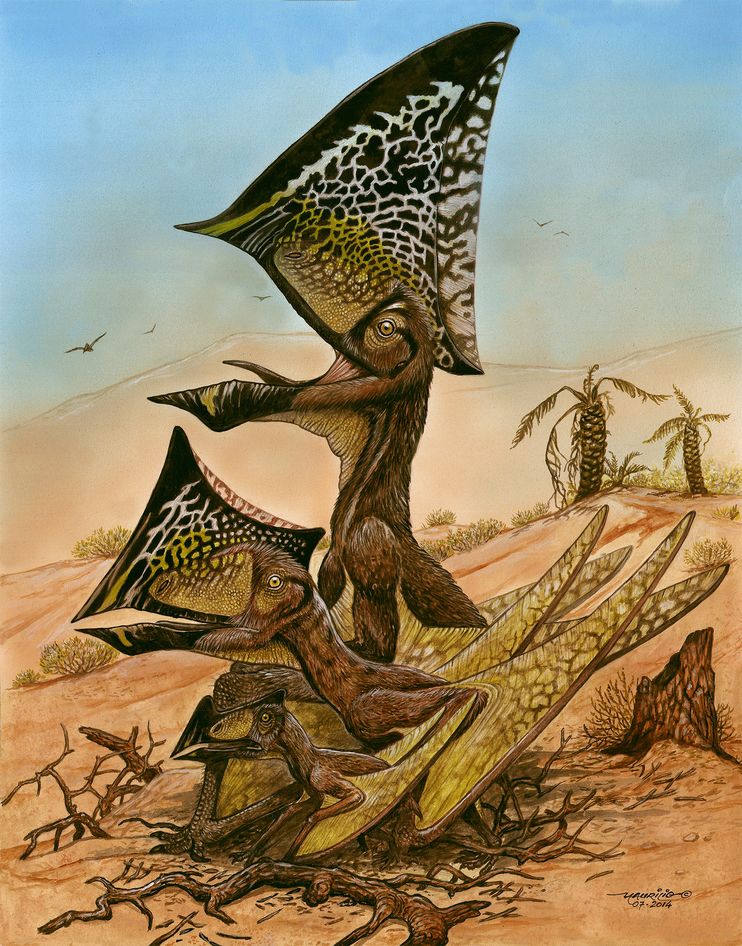 pterosaur-caiuajara-dobruskii-01_82613_990x742